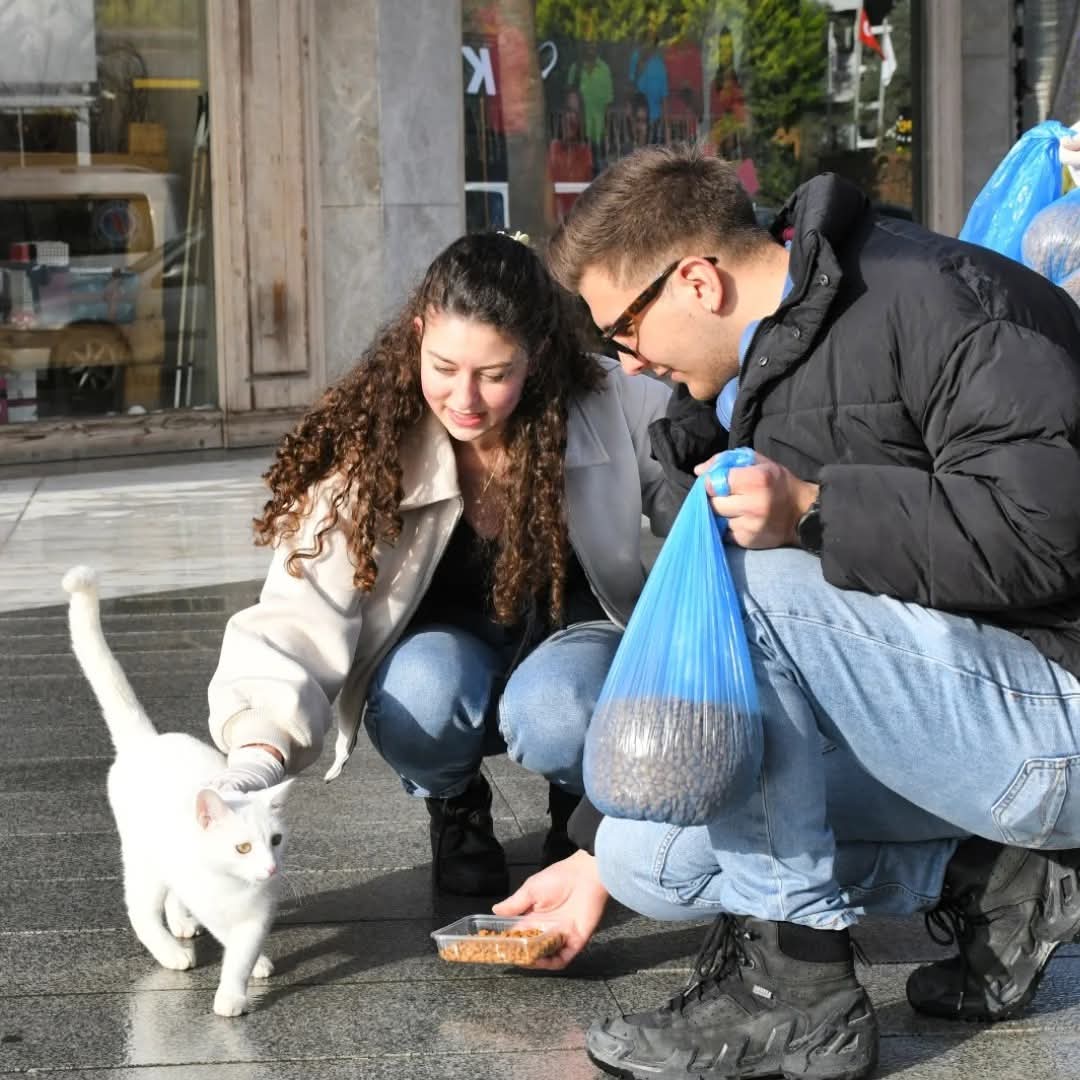 KUŞADASI’NDA “BİR KAP MUTLULUK” ETKİNLİĞİ: SOKAK HAYVANLARINA SEVGİ VE FARKINDALIK