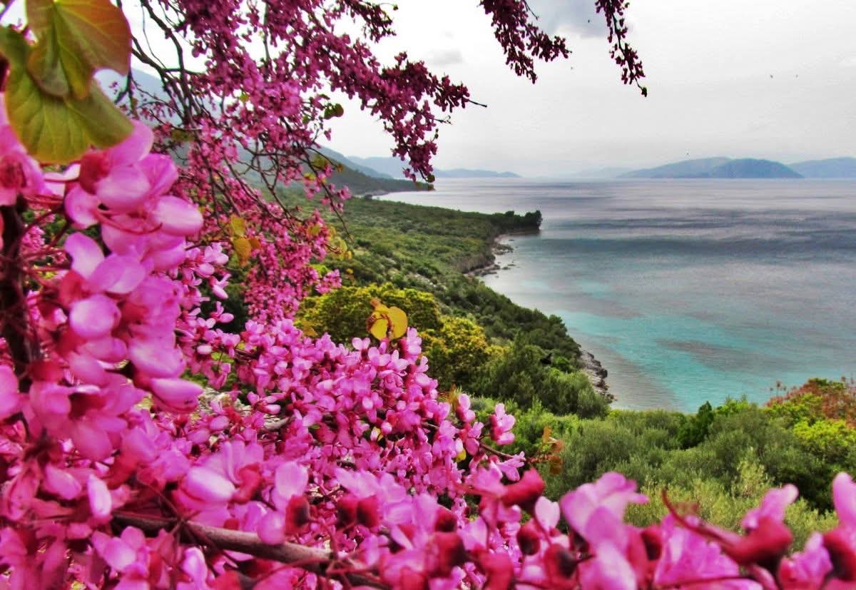 Milli Park Alarm Veriyor: Kuşadası Sivil Toplum Platformu'ndan Aydın Valiliği’ne Acil Çağrı