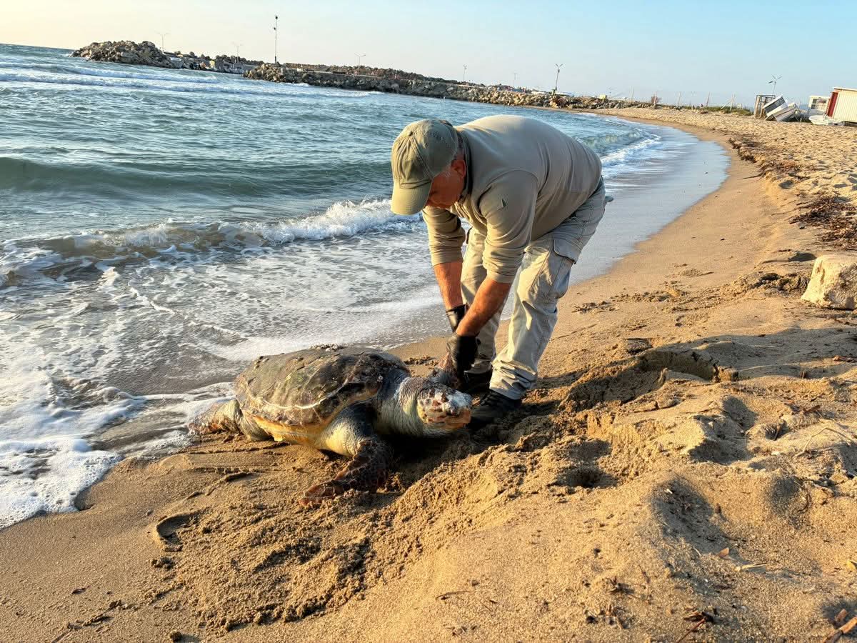 MAVİ VATAN’DA KIYIM: Kuşadası Körfezi’nde Trol Dehşeti!