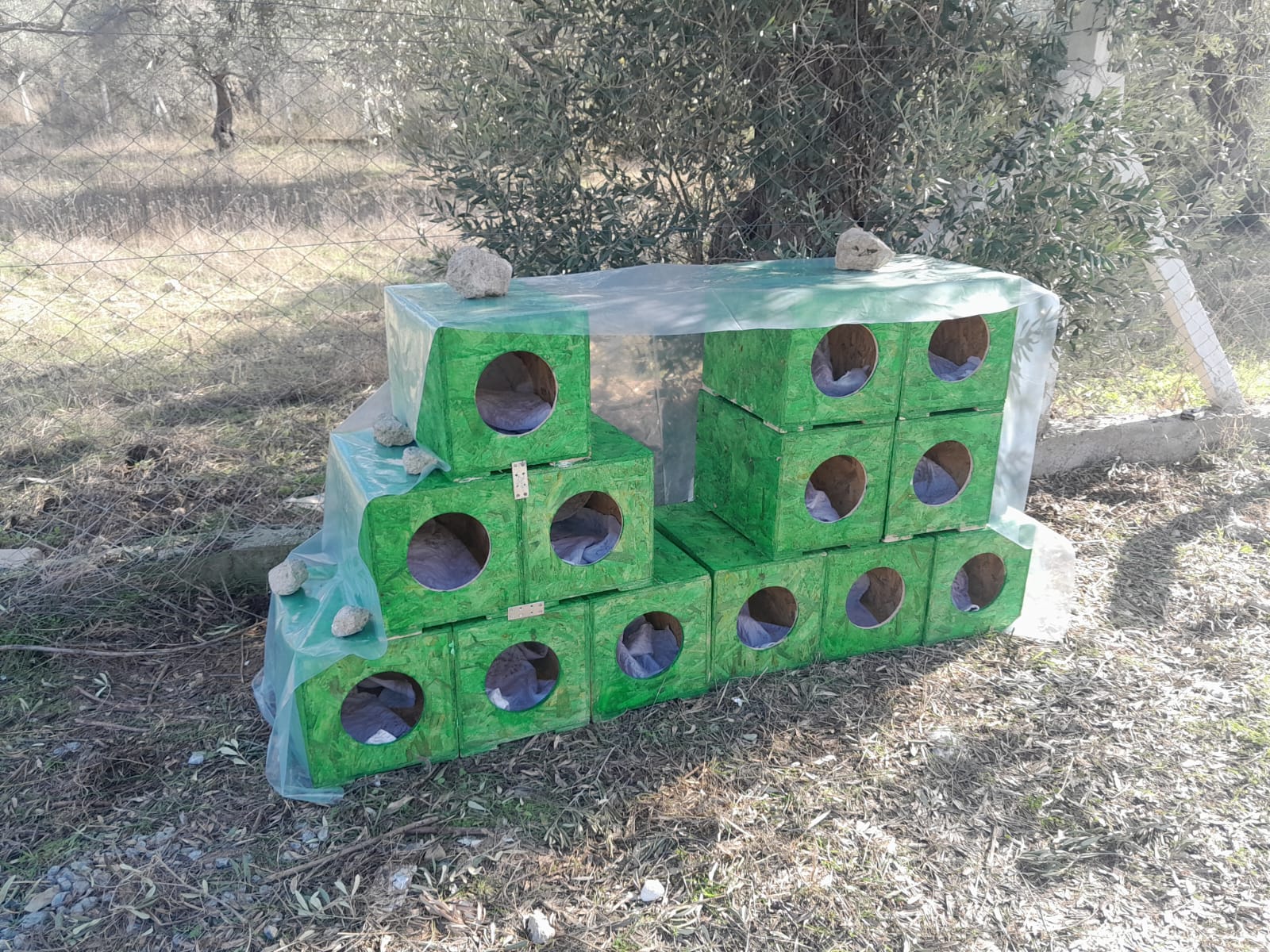 Ricksplace İŞLETME SAHİBİ Mirella ŞAHİN: “HAYVANLARI KORUMA MÜCADELEMİ BIRAKMAYACAĞIM”