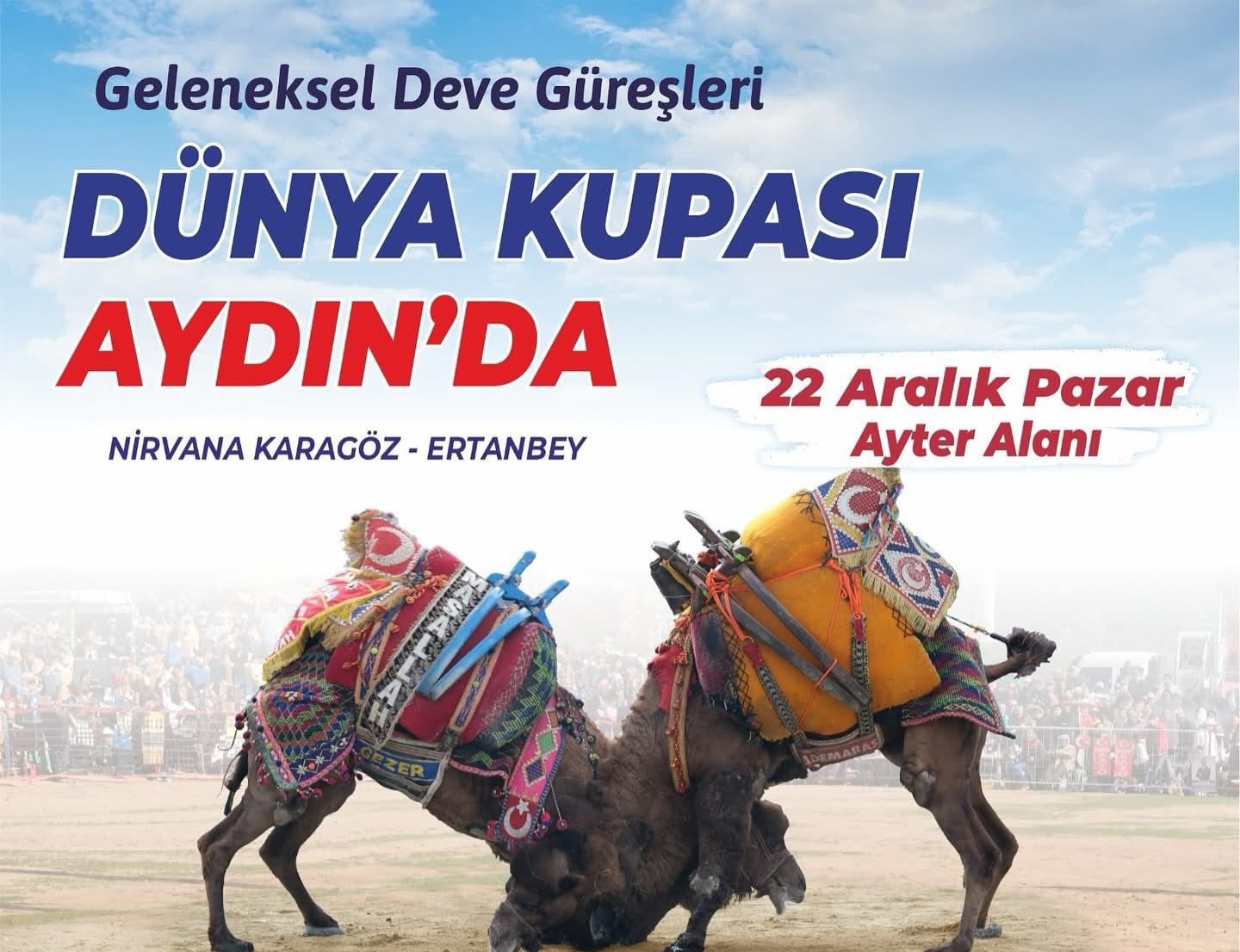 AYDIN’DA DEVE GÜREŞİ ŞÖLENİ: DÜNYA KUPASI HEYECANI AYTER ALANI’NDA