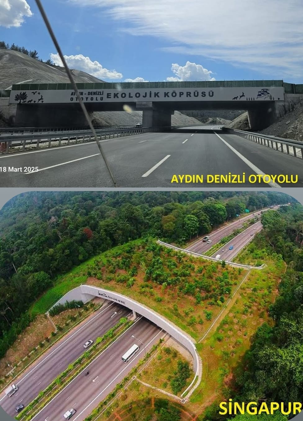 YABAN HAYATI TEHLİKEDE: EKOLİJİK ALT GEÇİŞ ŞART!