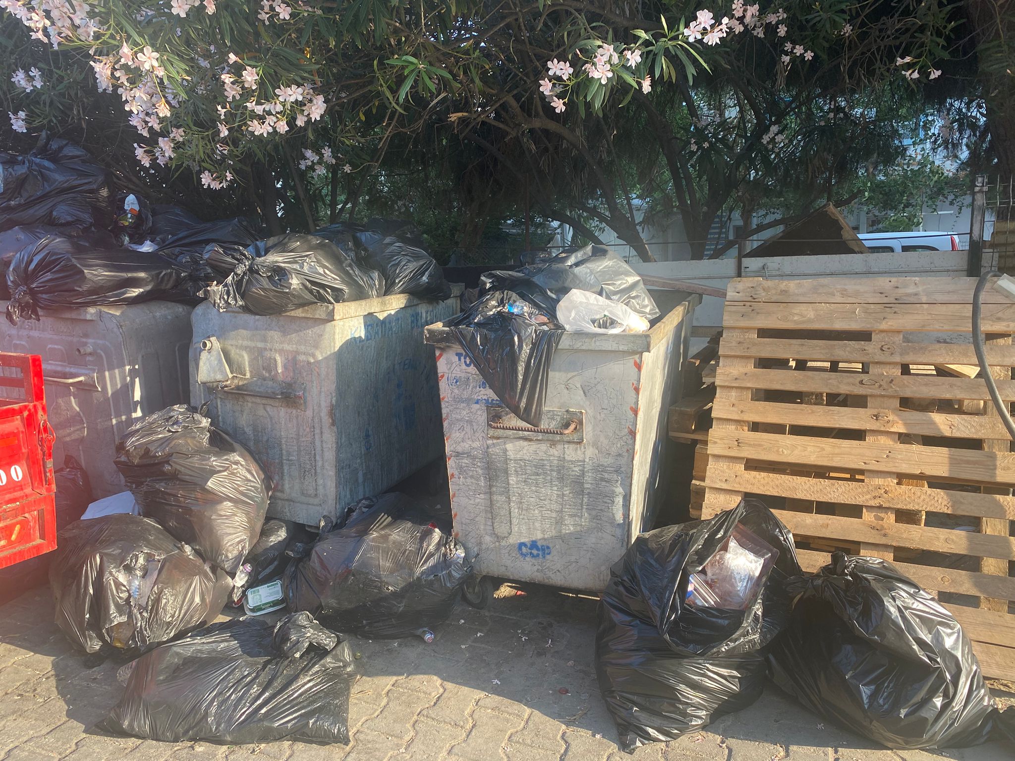 Kuşadası’nda Temizlik Tepkisi Büyüyor: “Kokudan Durulmuyor, Temizlik Yetersiz”