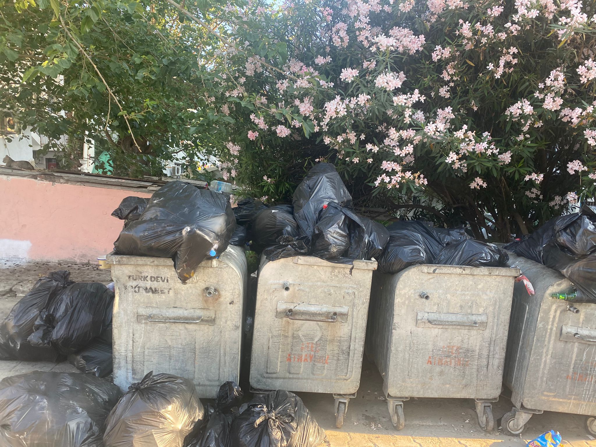 Kuşadası’nın Kalbinde Çöp Alarmı: Kadınlar Denizi’nde Sezon Başlamadan Kirlilik Başladı!