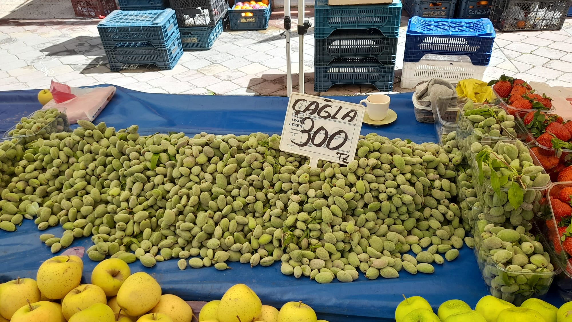 ​ÜRETİCİ PAZARINDA ETİKET TAYFUNU: BELEDİYE DENETİMİ SINIFTA KALDI