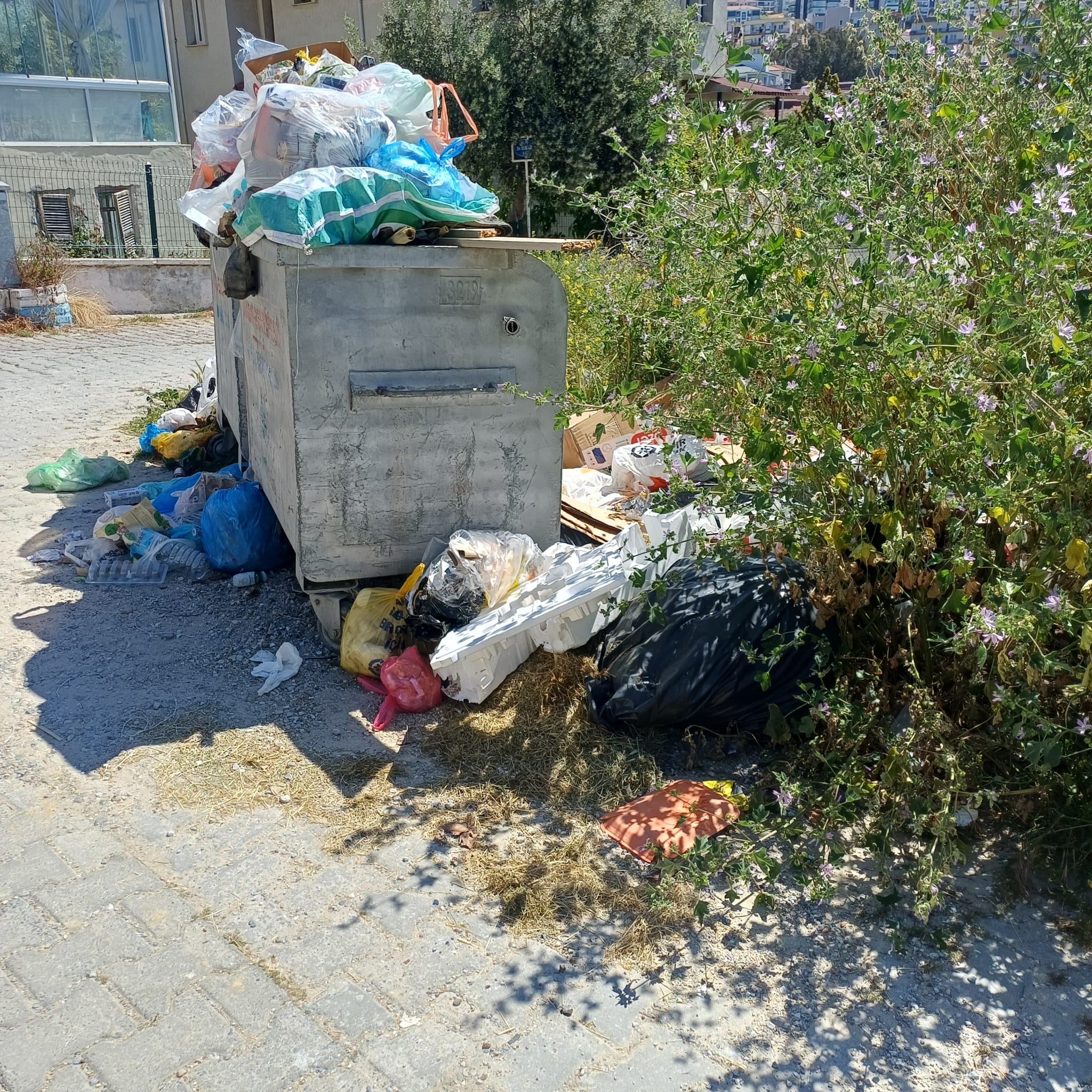 ​DÜNYA MARKASI KADINLAR DENİZİ ‘ÇÖP DAĞLARINA’ TESLİM: HİZMET NEREDE, VEKİL NEREDE?