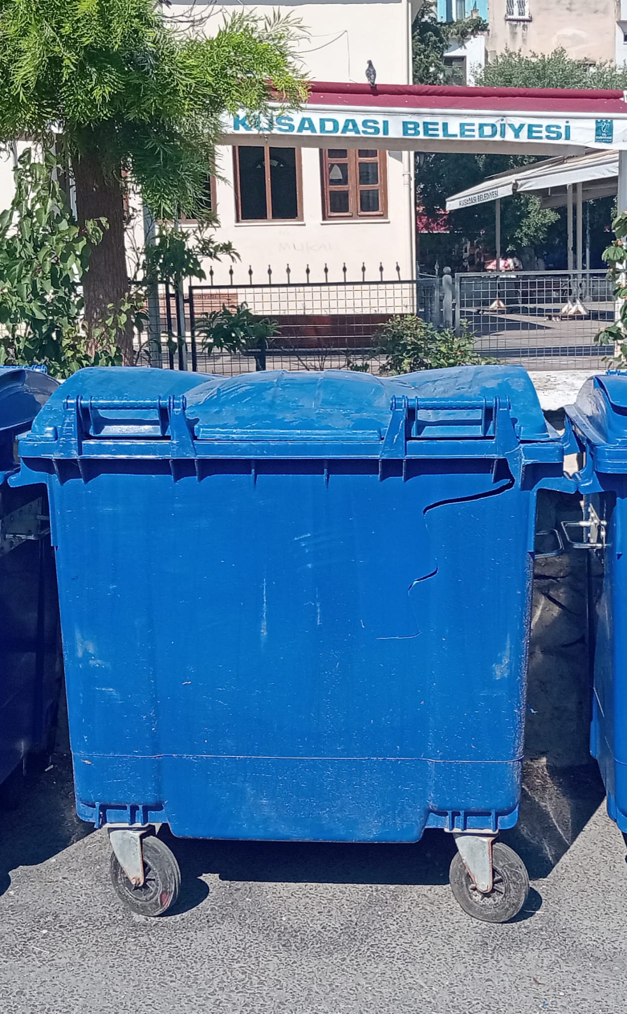 Kuşadası’nda 