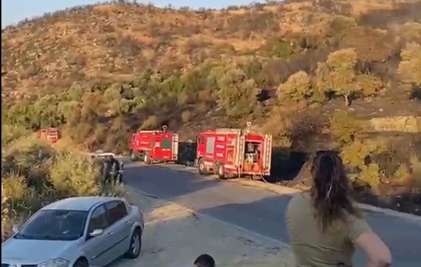 Aydın'ın Söke ilçesinde ormanlık alanda çıkan yangın kontrol altına alındı.