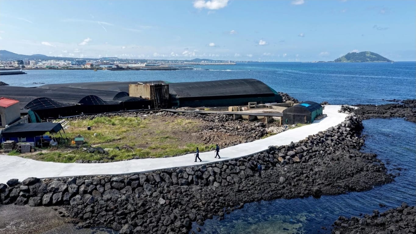 GÜNEY KORE'DE JEJU SKANDALI: 3 GÜNDE 4 CESET BULUNDU, DEVLET BAŞKANI'NDAN 