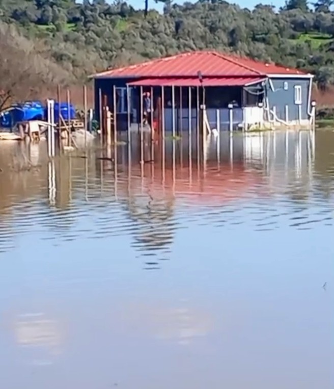 Ege’nin Turizm Cennetinde İnsanı da Hayvanı da Su Bastı: Kirazlı’da Yardım Çığlığı