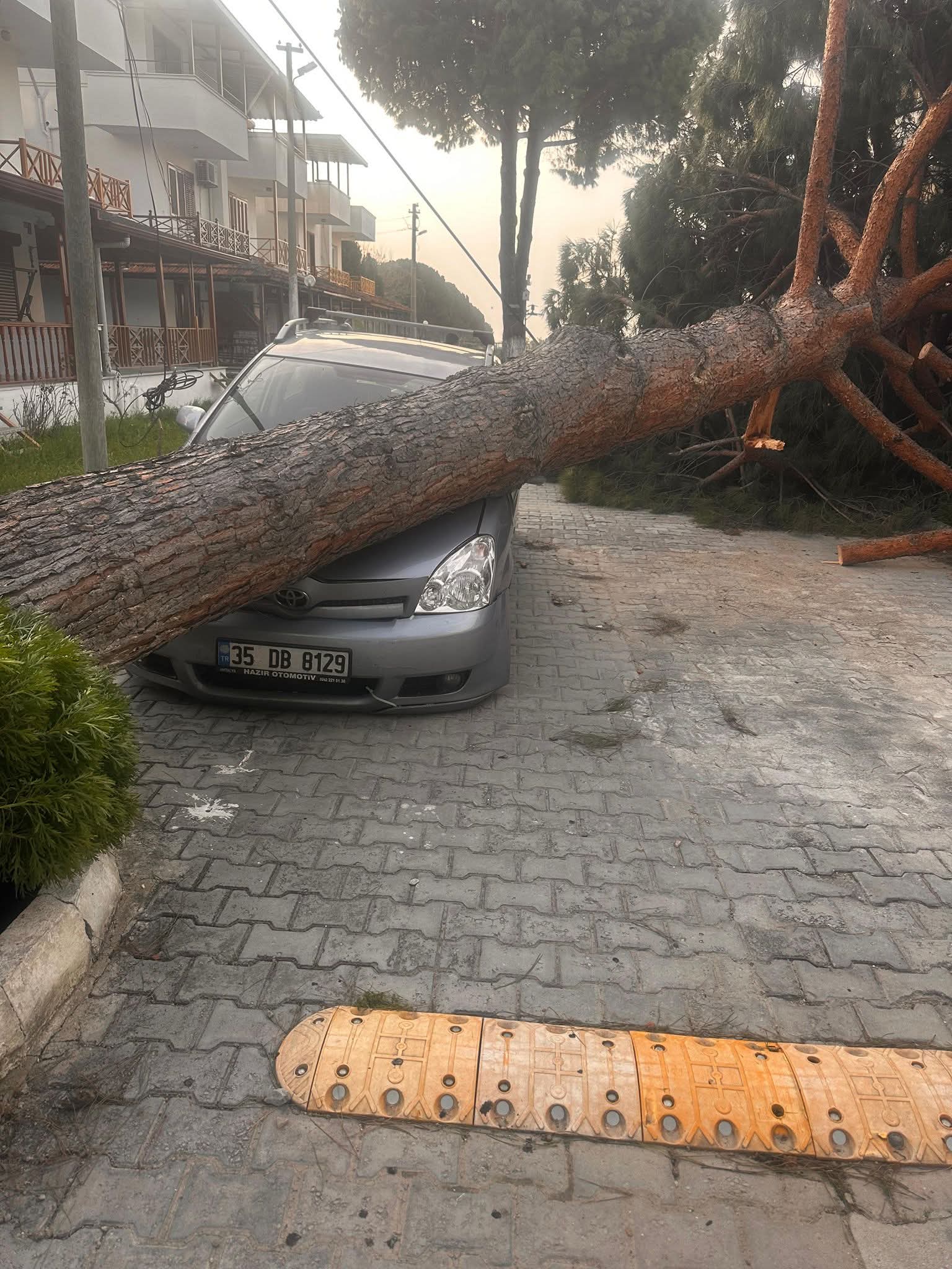 KUŞADASI FIRTINAYA TESLİM