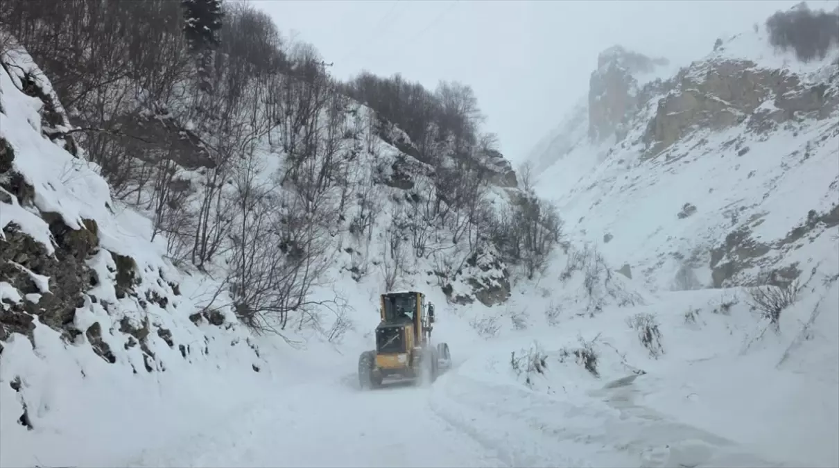 Artvin'de çığ düştü: 3 çoban çığ altında kaldı