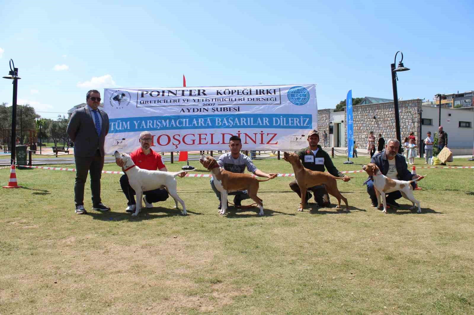 Aydın’da köpekler podyuma çıktı