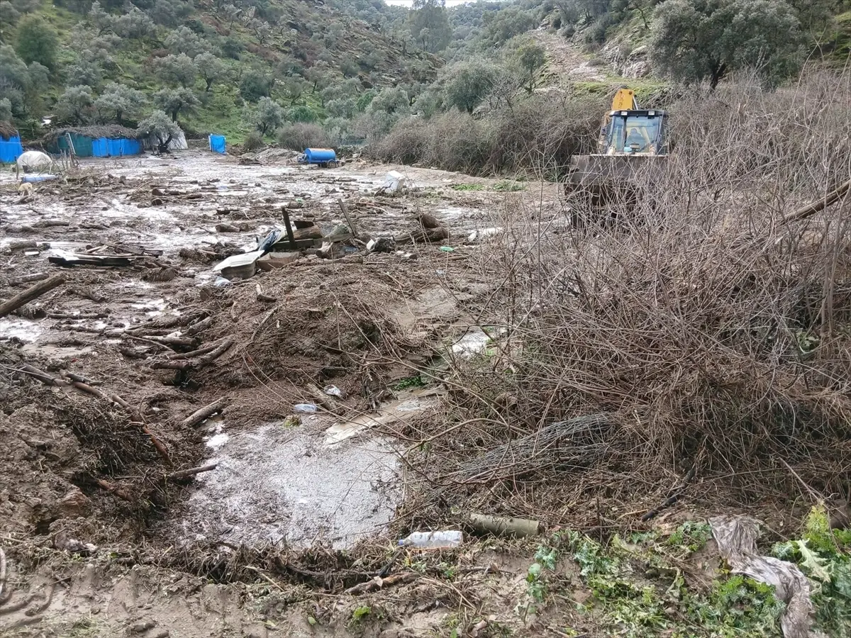 Aydın'da Sel ve Toprak Kayması: 44 Koyun Telef Oldu