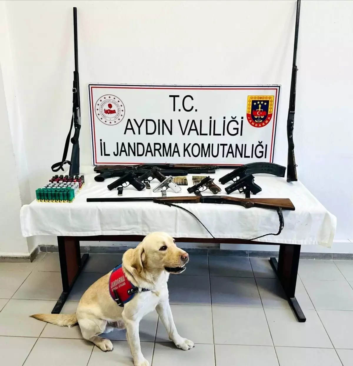 Aydın'da Silah Operasyonu: 1 Gözaltı