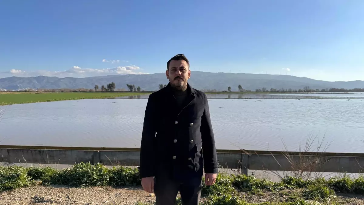 Büyük Menderes Nehri'nde taştı, 2 bin dönüm tarım arazisi sular altında kaldı