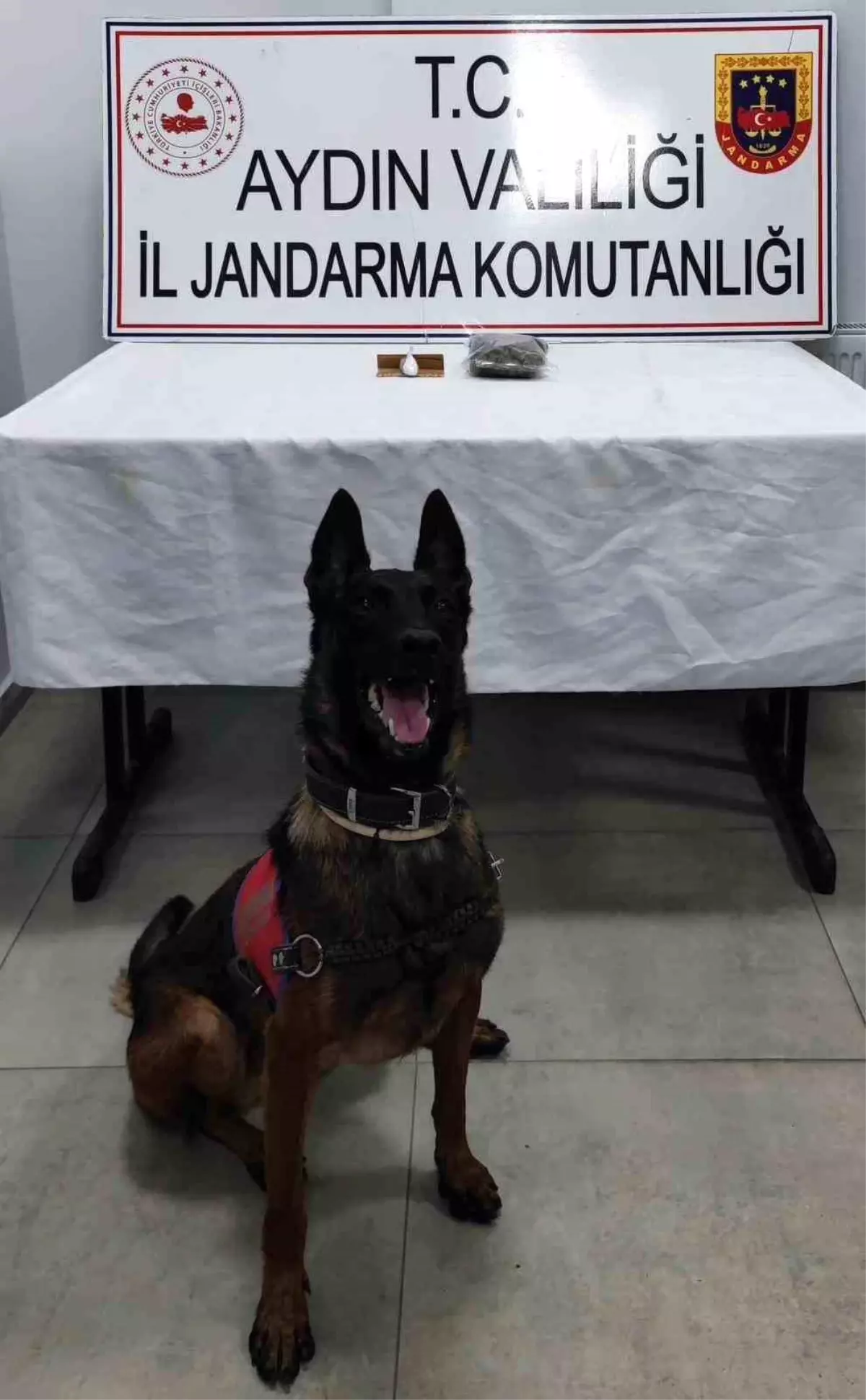 Germencik’te Jandarma Operasyonu: Araçta Kokain ve Esrar Ele Geçirildi, İki Şüpheli Gözaltında