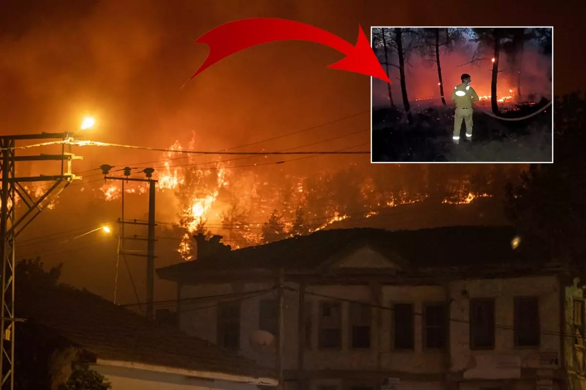 Sakarya yangını 15 saattir sürüyor! Alevlerin içinden yürekleri dağlayan çığlıklar