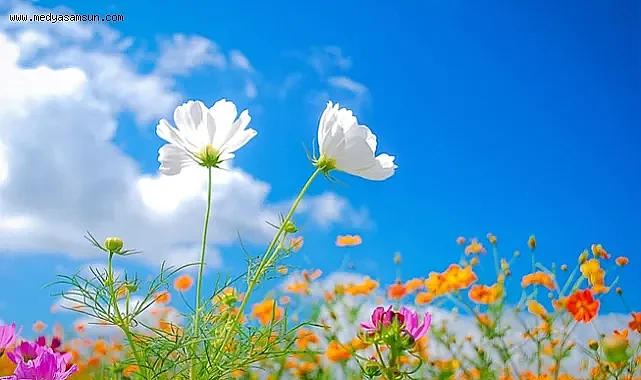 Ege'de Bahar Esintileri: Hafta Sonu Hava Durumu Nasıl Olacak?