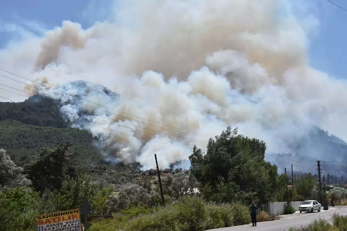 Aydın Alev Alev: 48 Saatte 93 Yangın, Her 15 Dakikada Bir Alarm