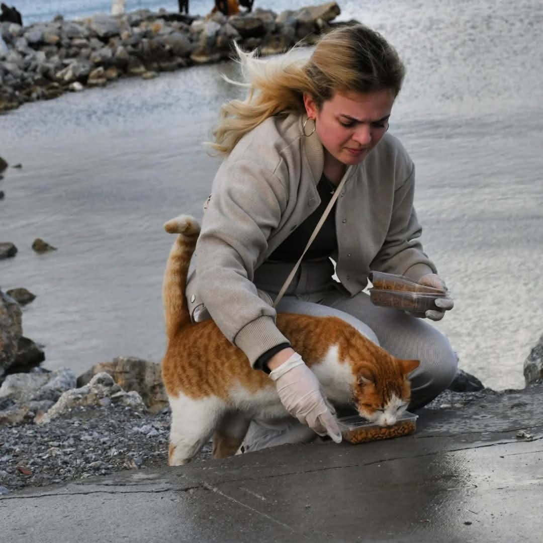 Sokak Hayvanlarına Sevgi Y&uuml;r&uuml;y&uuml;ş&uuml;