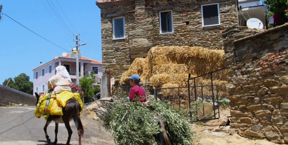 LATMOS’TAN AMERİKA’YA UZANAN BELGESEL: DOĞA VE TARİHİN SESSİZ DİYALOĞU