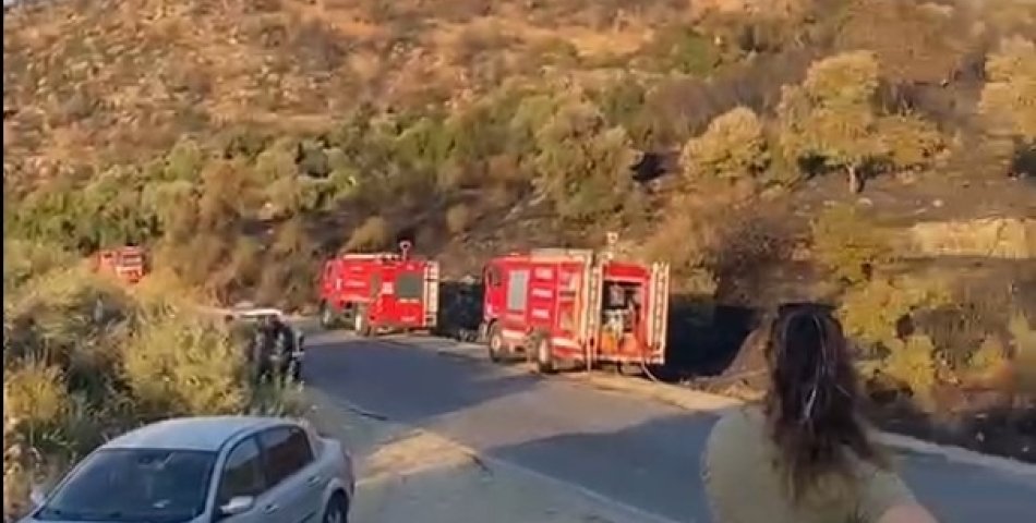 Aydın’ın Söke ilçesinde ormanlık alanda çıkan yangın kontrol altına alındı.