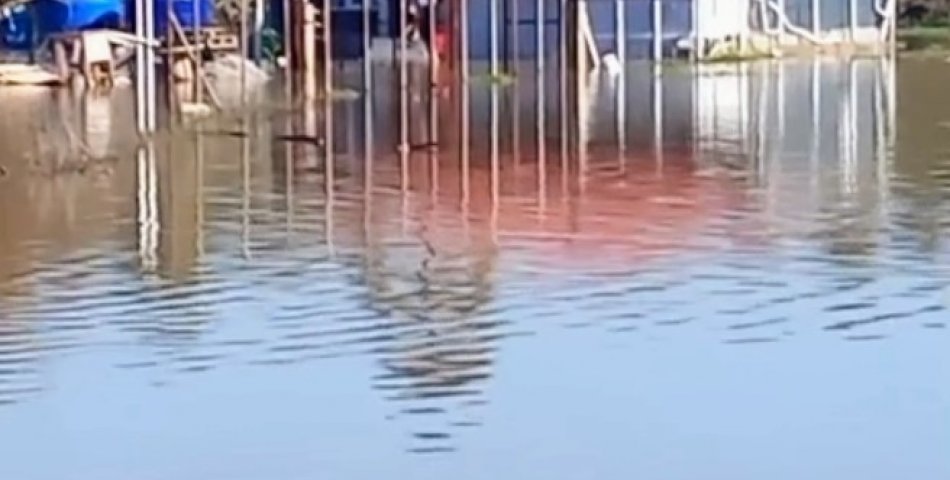 Ege’nin Turizm Cennetinde İnsanı da Hayvanı da Su Bastı: Kirazlı’da Yardım Çığlığı