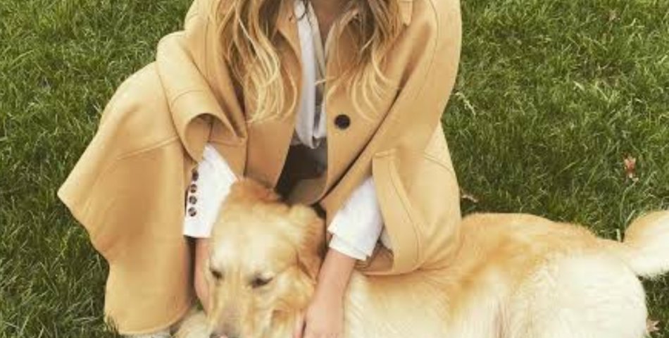 Ünlü Oyuncu Eda Ece’den Bodrum’da Köpek Saldırısı İddiası: Sağlık Durumu İyi