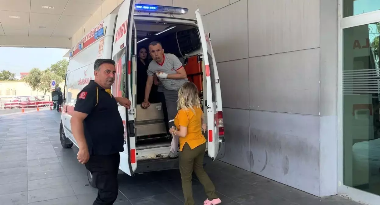 Aydın’da Kurban Bayramı’nda 460 Acemi Kasap Hastanelik Oldu