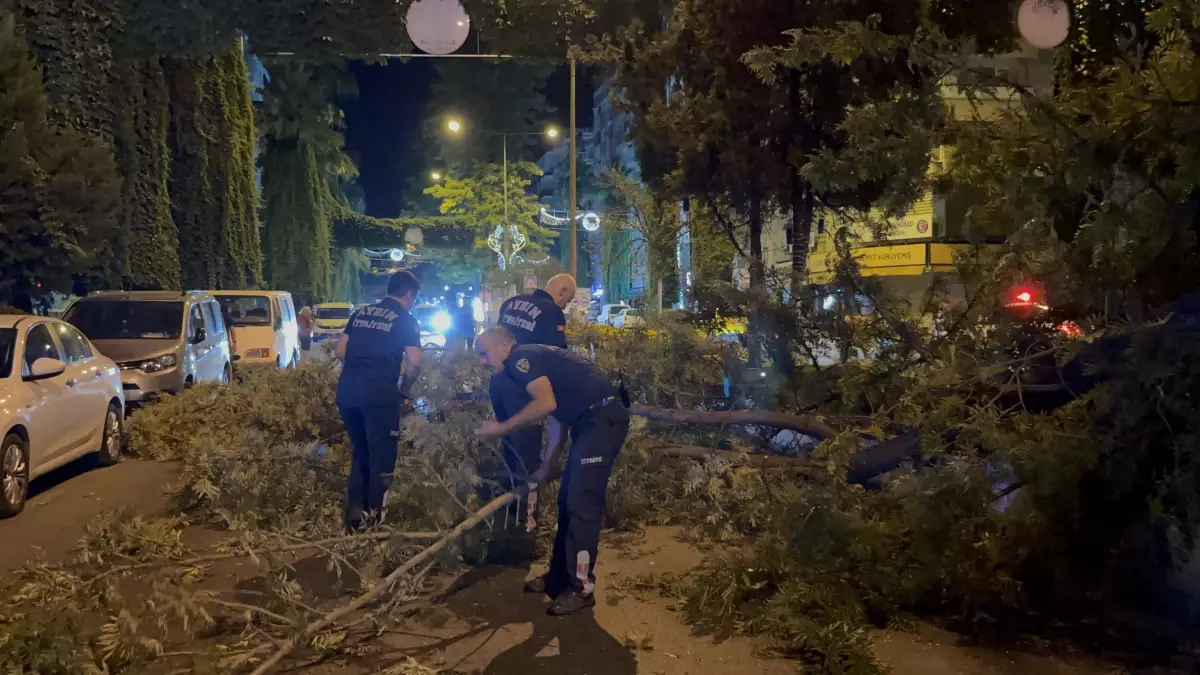 Aydın’da Motosiklet Sürücüsüne Ağaç Dalları Düştü