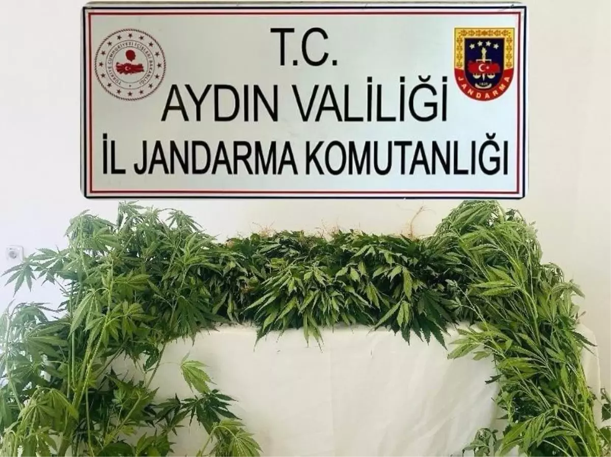 Aydın’da Uyuşturucu Mücadelesi: 17 Şüpheli Yakalandı
