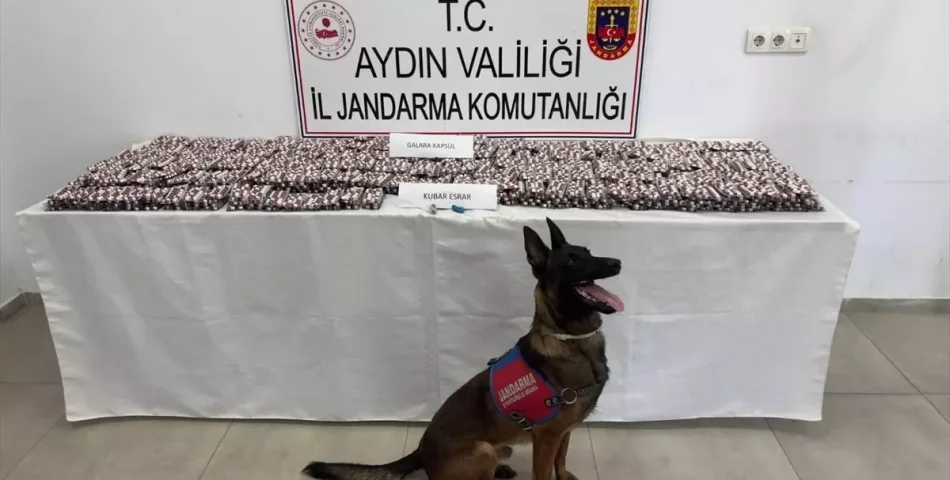 Germencik Gişelerinde Uyuşturucu Operasyonu — 3 Kişi Tutuklandı