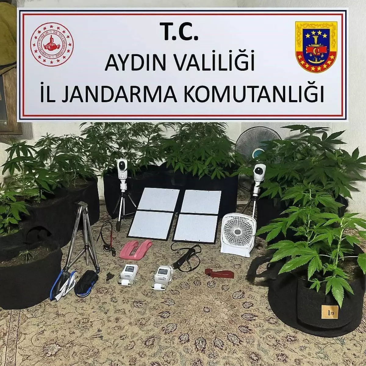 Kenevir Yetiştiren Öğrenci Yakalandı