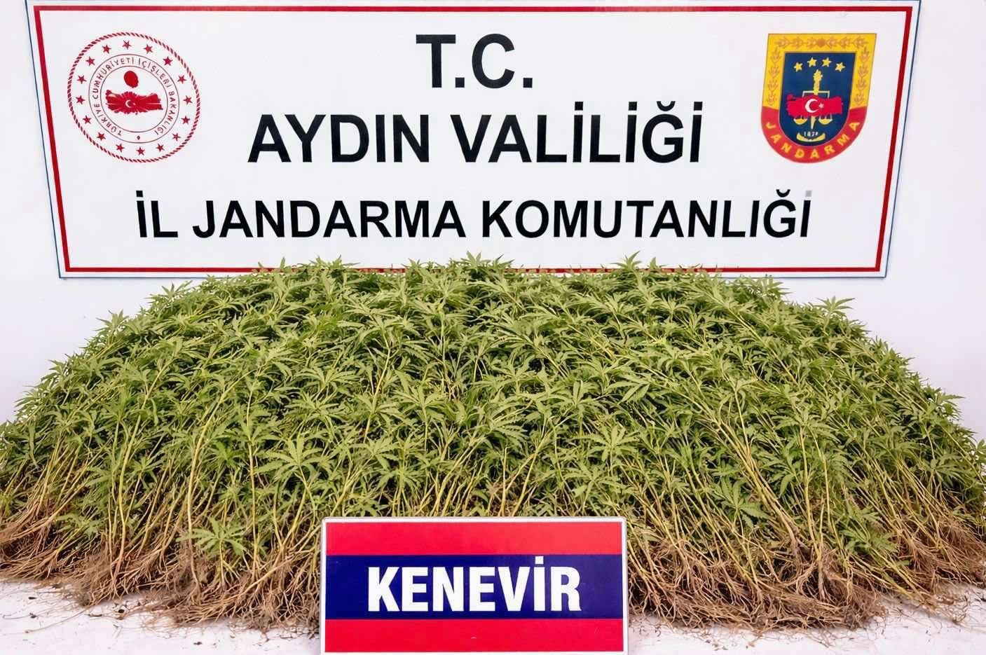 Uyuşturucu Operasyonu