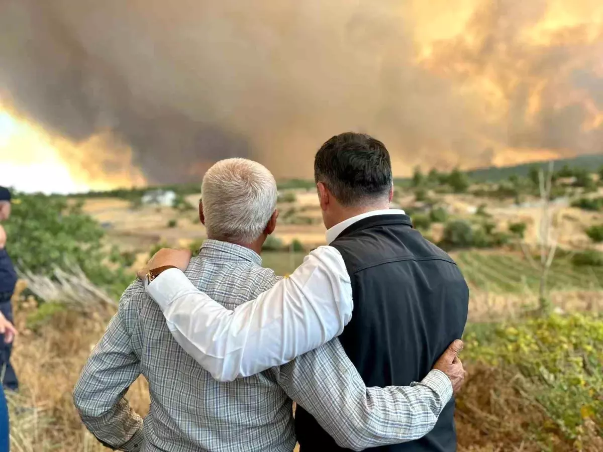 Sakarya ve Bilecik’te orman yangını: 4 tahliye edildi