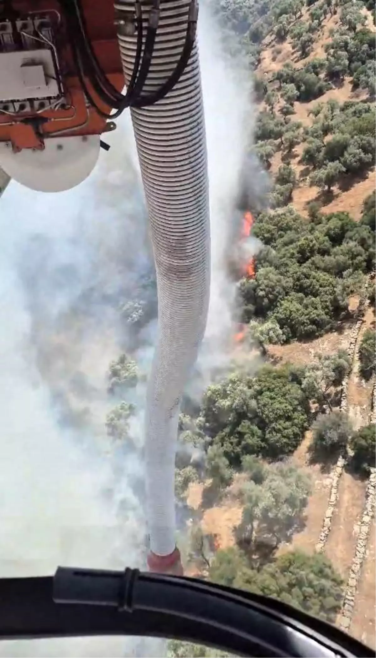 Söke’de Zirai Yangına Havadan Müdahele