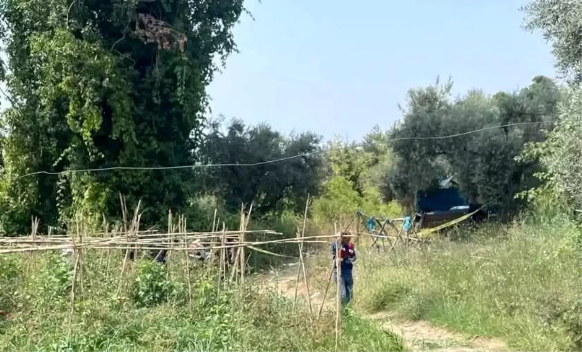 Yaşlı çiftçi tarlasında ölü bulundu! Korkunç olayda,